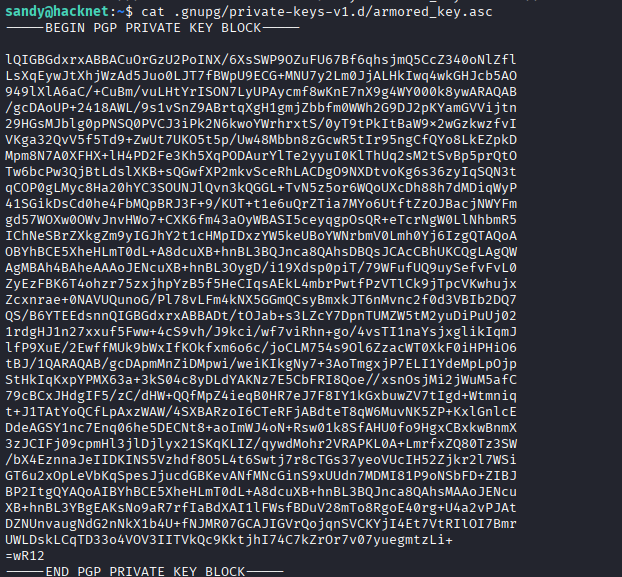 HTB Hacknet Writeup-20260509230536023.png