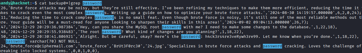 HTB Hacknet Writeup-20260509230536024-1.png