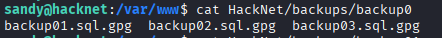 HTB Hacknet Writeup-20260509230536024.png